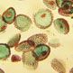 Boost for pioneering cancer research