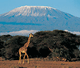 Kilimanjaro Trek